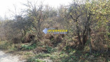 teren-intravilan-1200-mp-de-vanzare-zona-schit